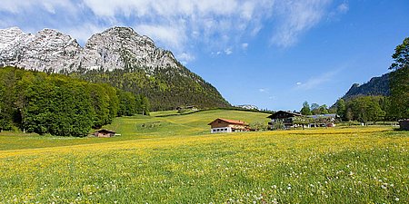 Scheffaulehen-Bauernhof-Sommer.jpg